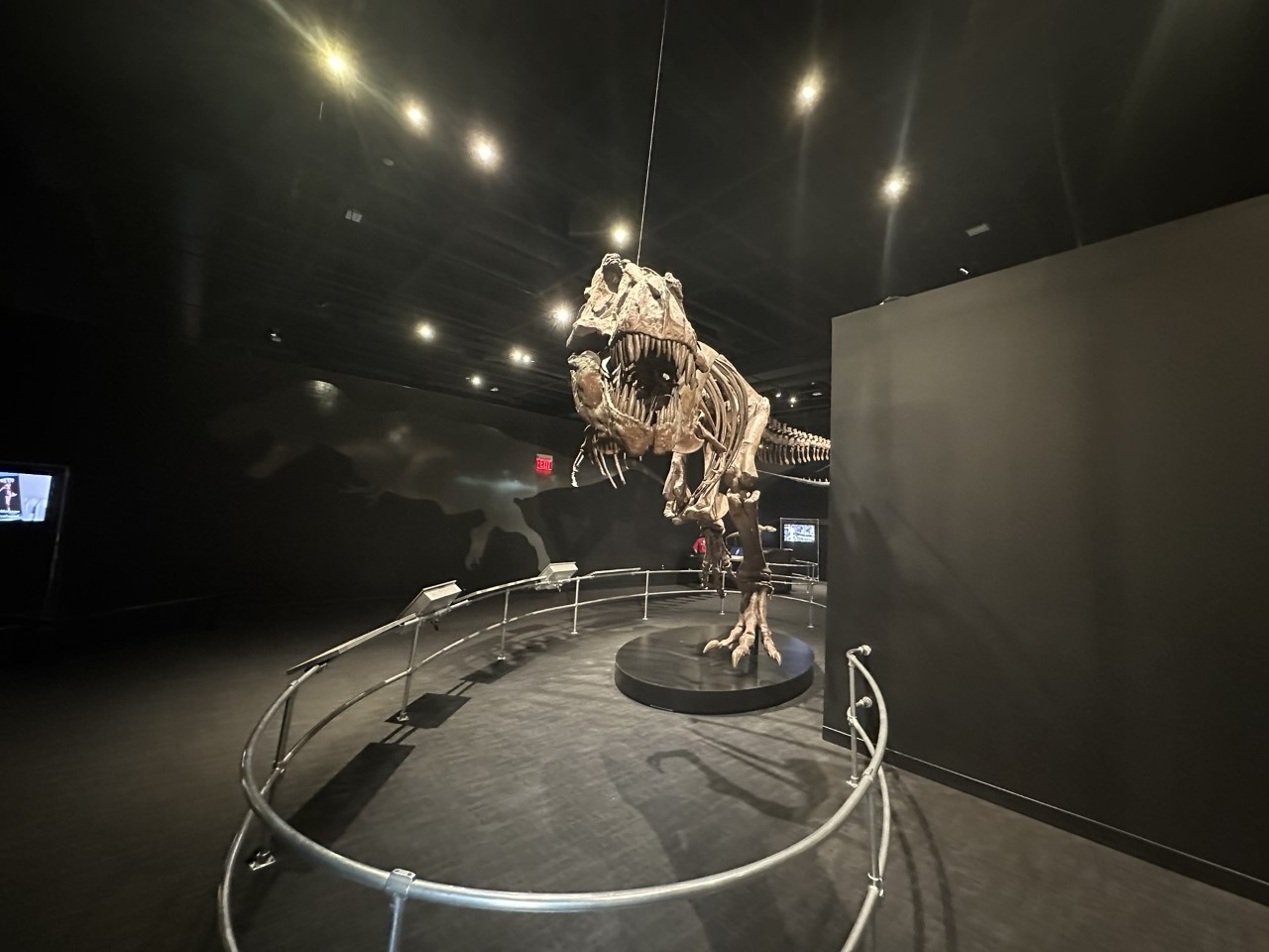 Towering T-Rex skeleton in dramatic attack pose with circular viewing area